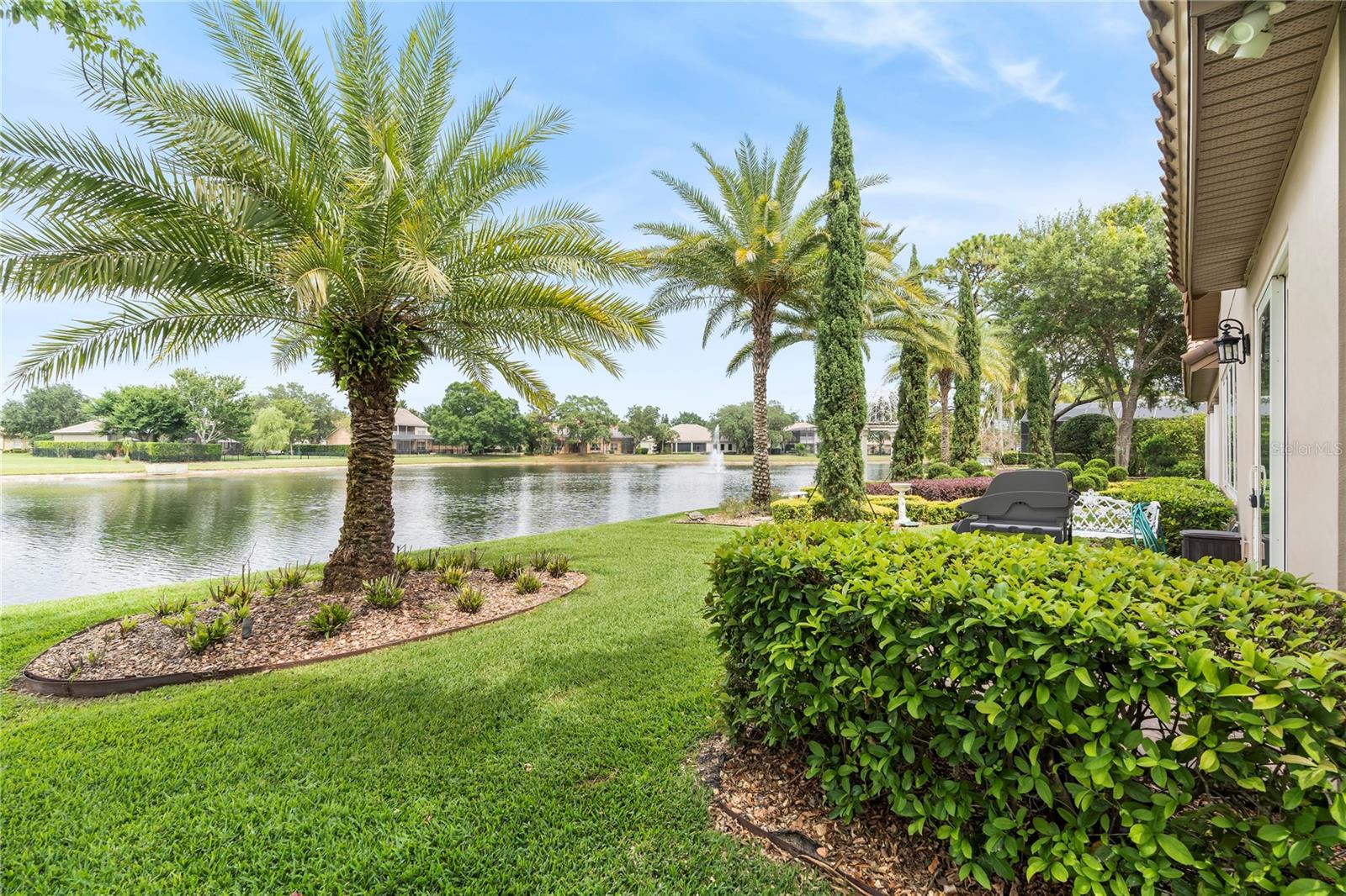 2009 CASTELLI BLVD, MOUNT DORA, FL, 32757