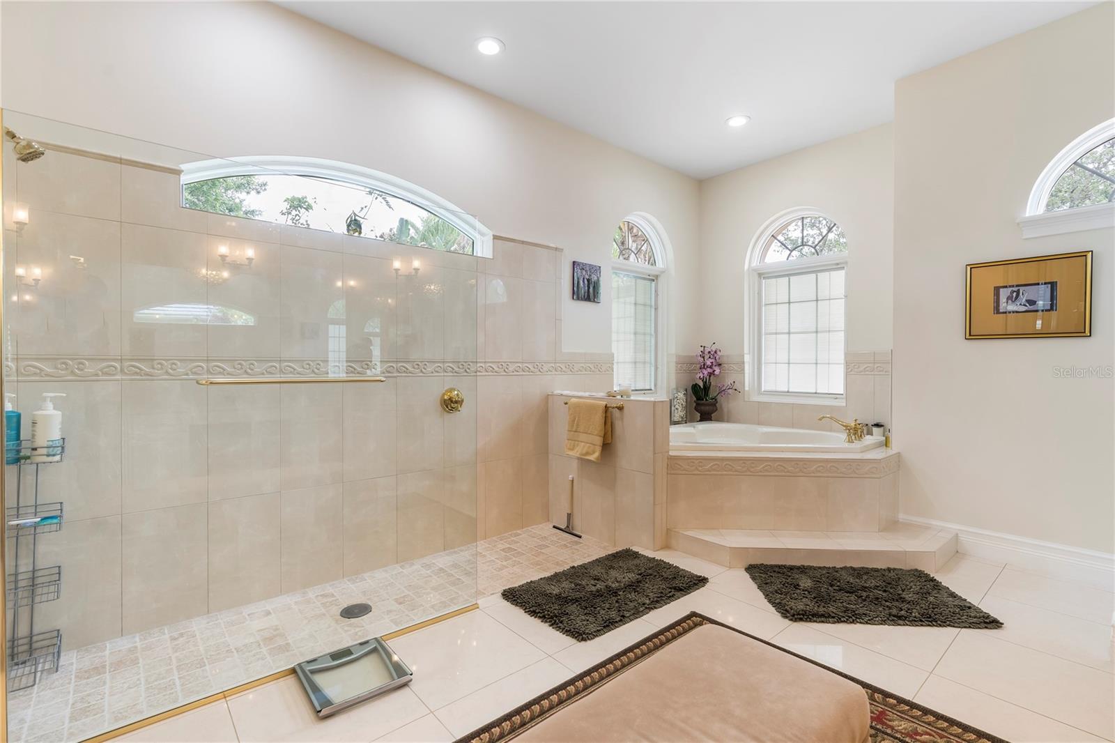 2009 CASTELLI BLVD, MOUNT DORA, FL, 32757