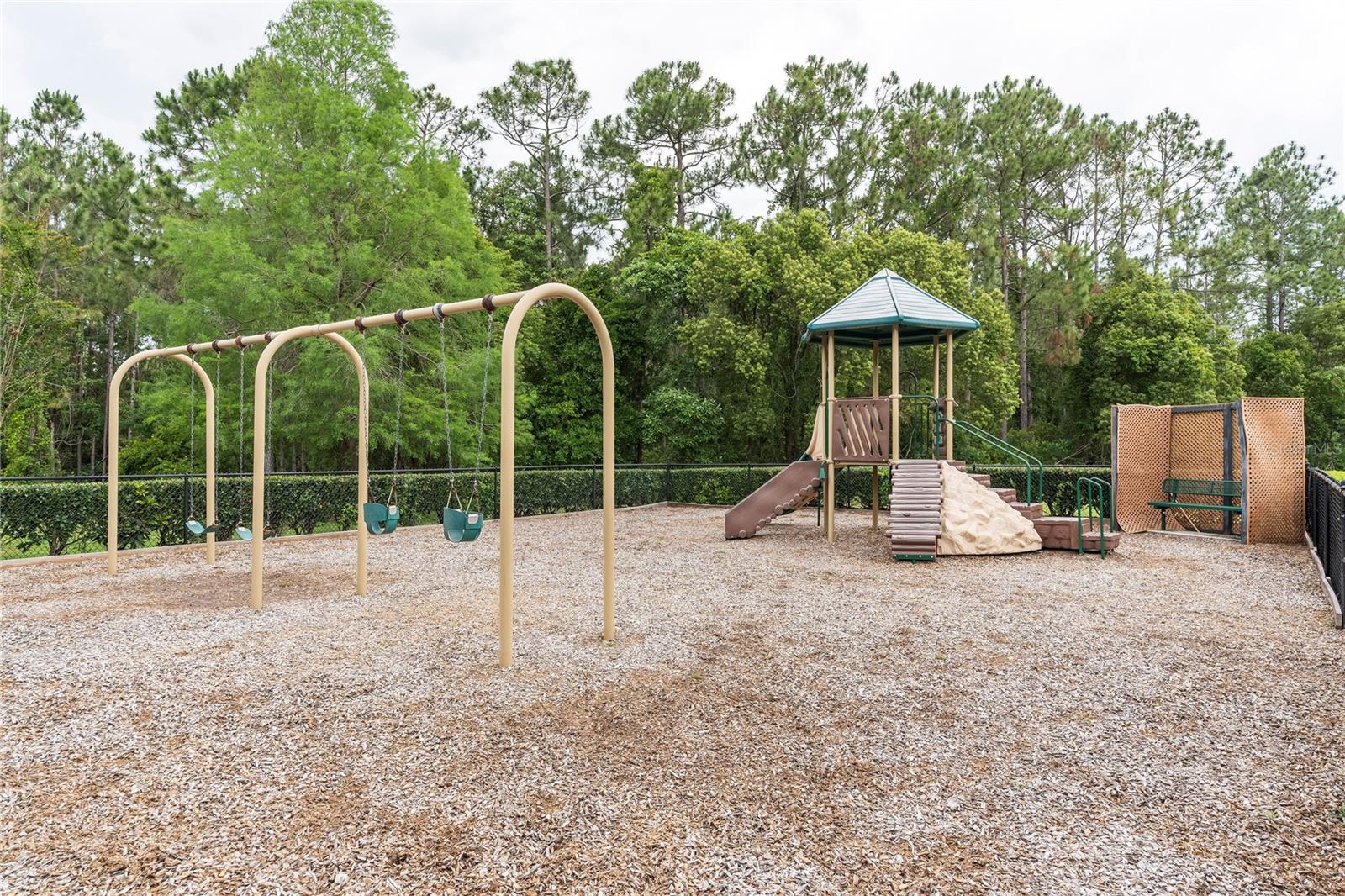 2009 CASTELLI BLVD, MOUNT DORA, FL, 32757