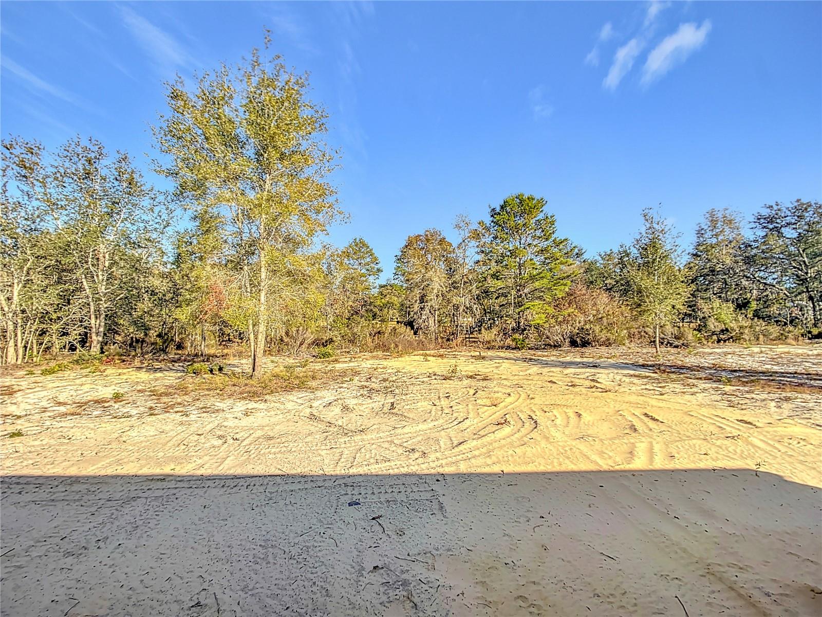 12751 NE 14TH ST, WILLISTON, FL, 32696