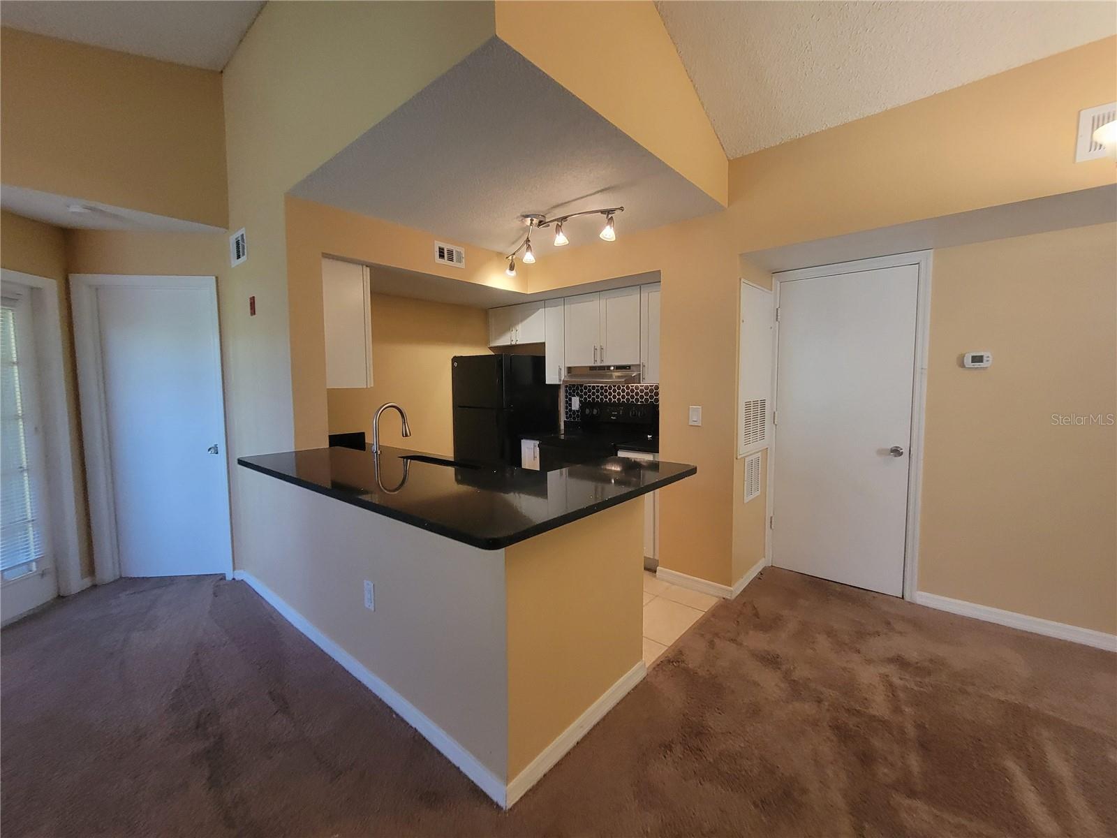 409 FOUNTAINHEAD CIR #237, KISSIMMEE, FL, 34741