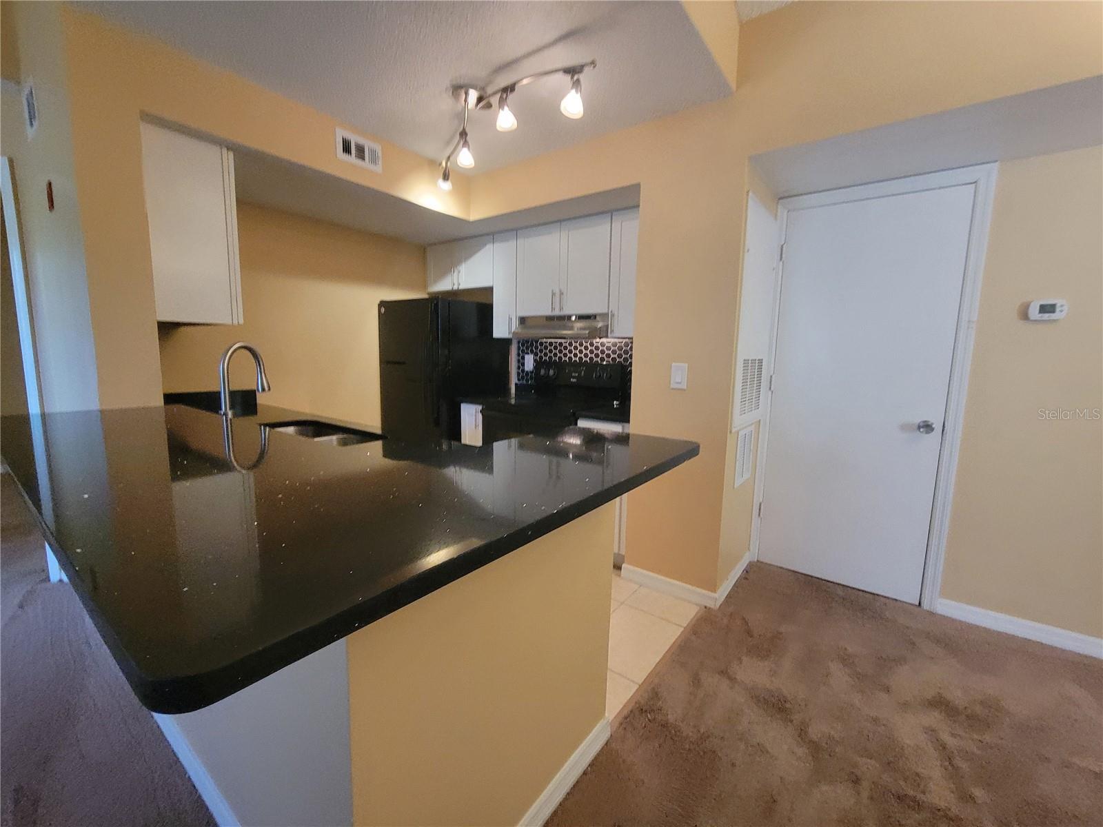 409 FOUNTAINHEAD CIR #237, KISSIMMEE, FL, 34741