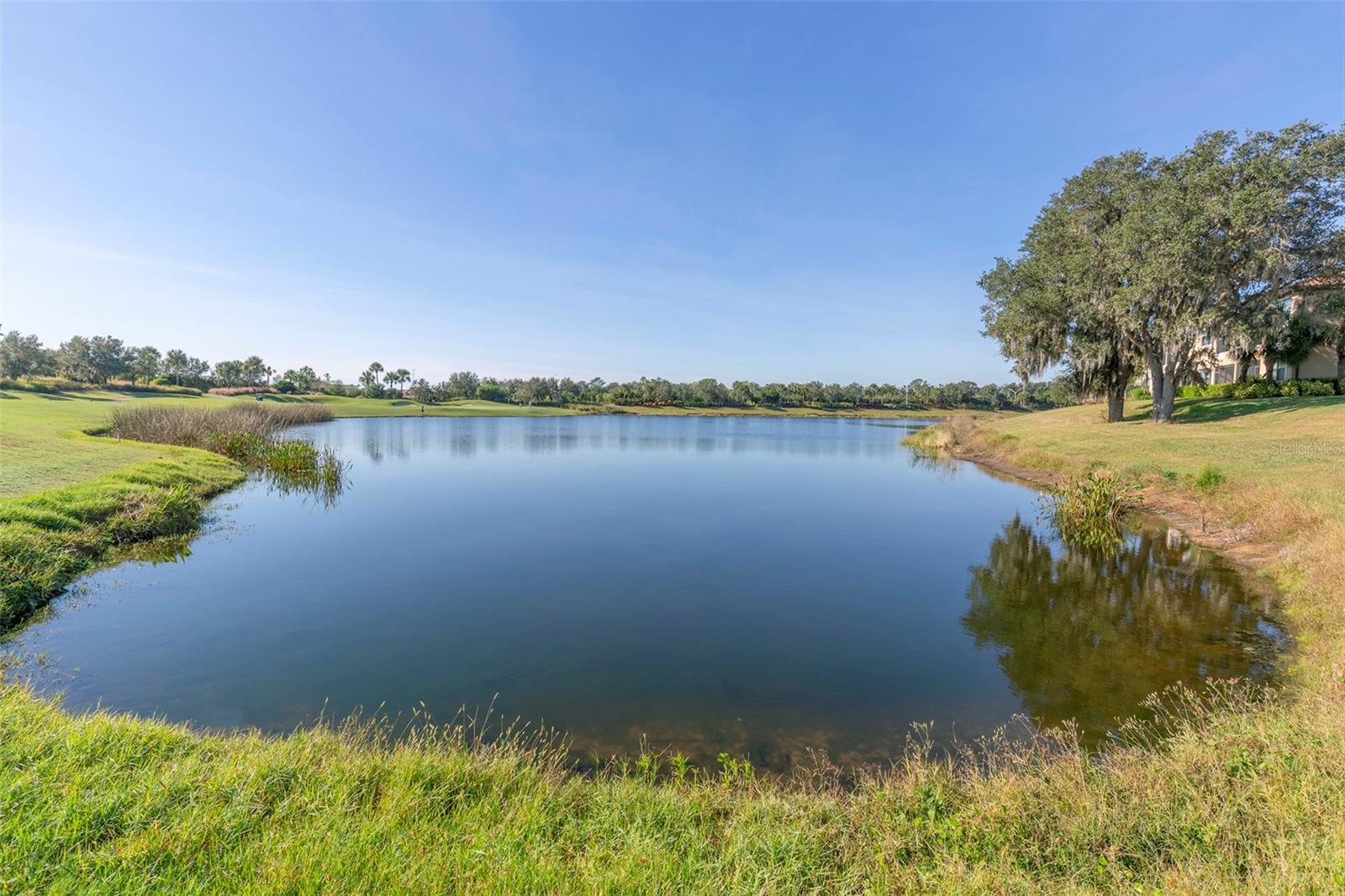 13816 MESSINA LOOP #203, BRADENTON, FL, 34211