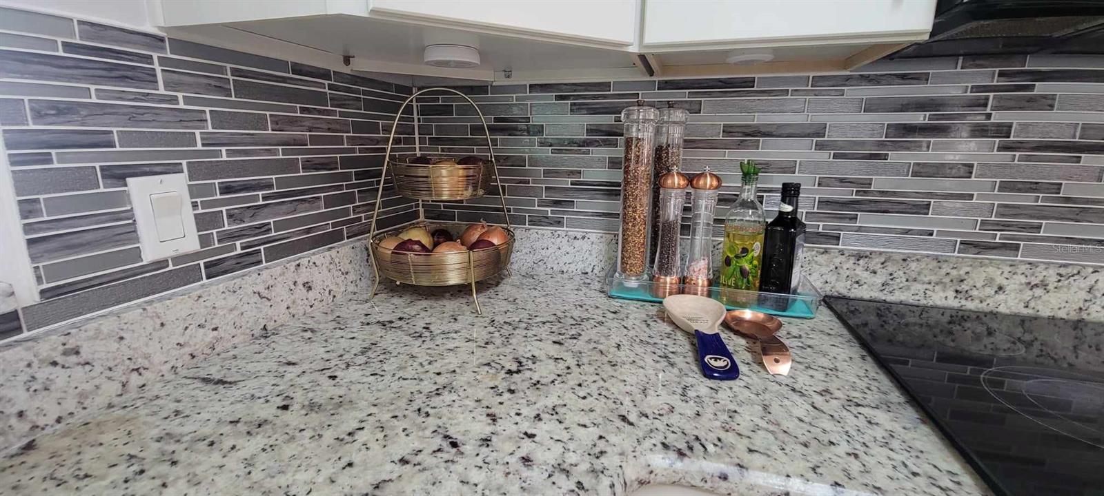 114 DOUGLAS PARK AVE, DAVENPORT, FL, 33897