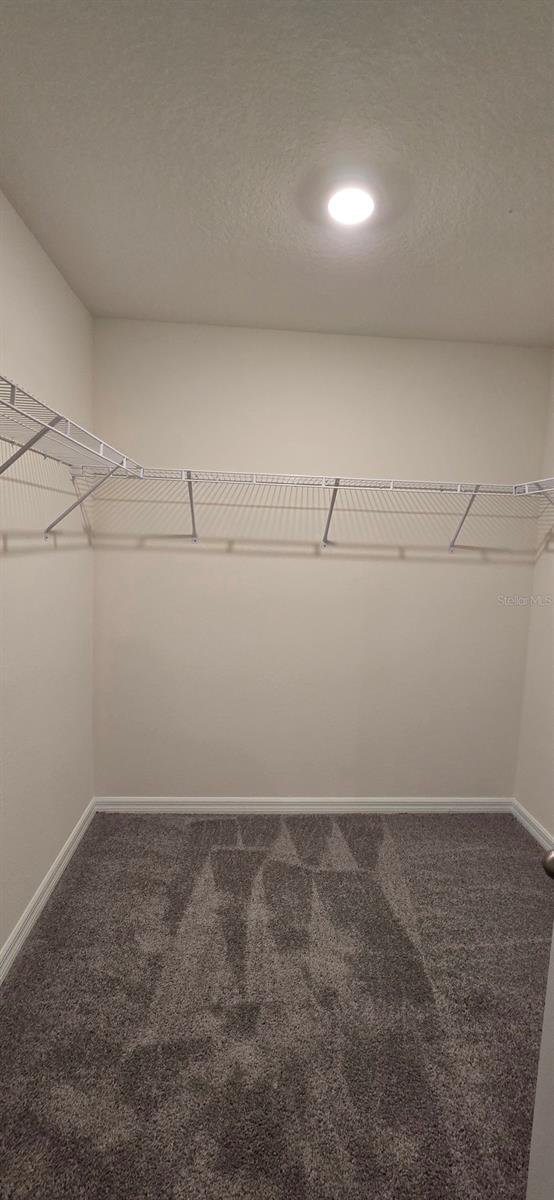 10324 SE 161ST ST, SUMMERFIELD, FL, 34491