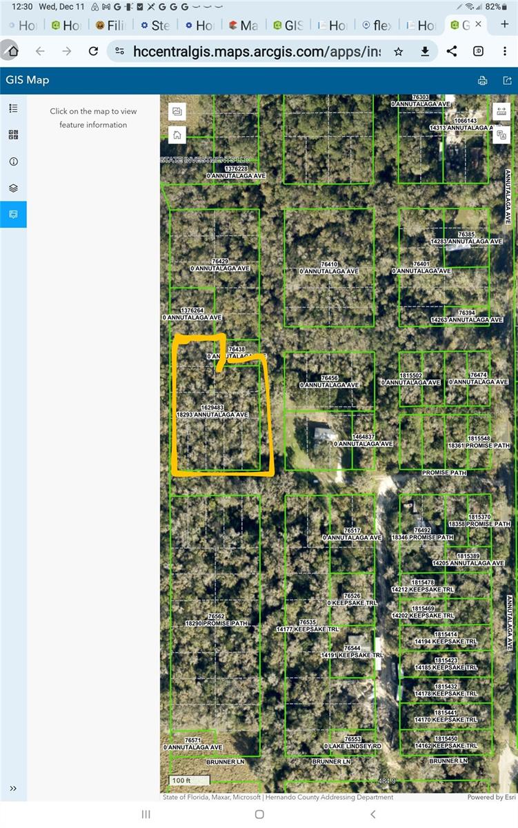 18293 ANNUTALAGA AVE, BROOKSVILLE, FL, 34601