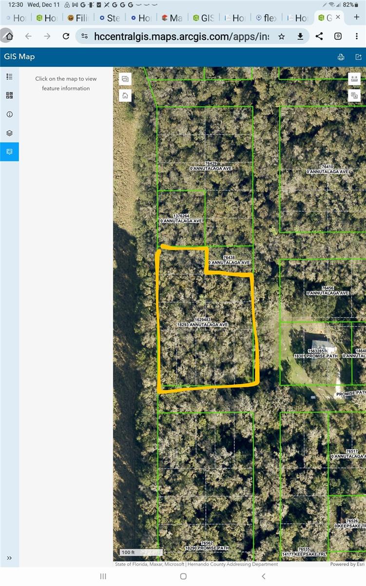 18293 ANNUTALAGA AVE, BROOKSVILLE, FL, 34601