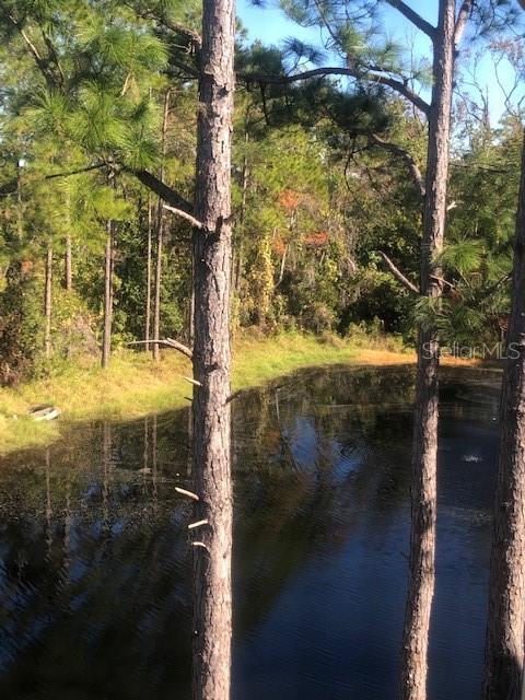 413 SUMMIT RIDGE PL #305, LONGWOOD, FL, 32779