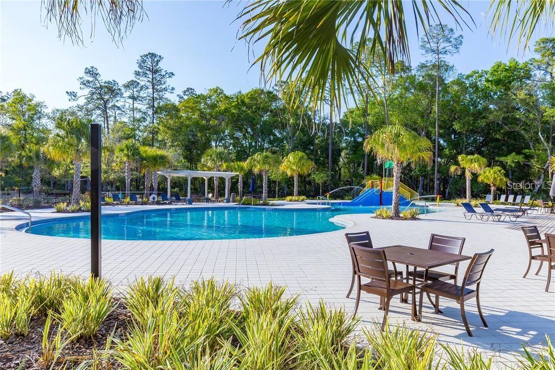 3957 EPIC CV, LAND O LAKES, FL, 34638