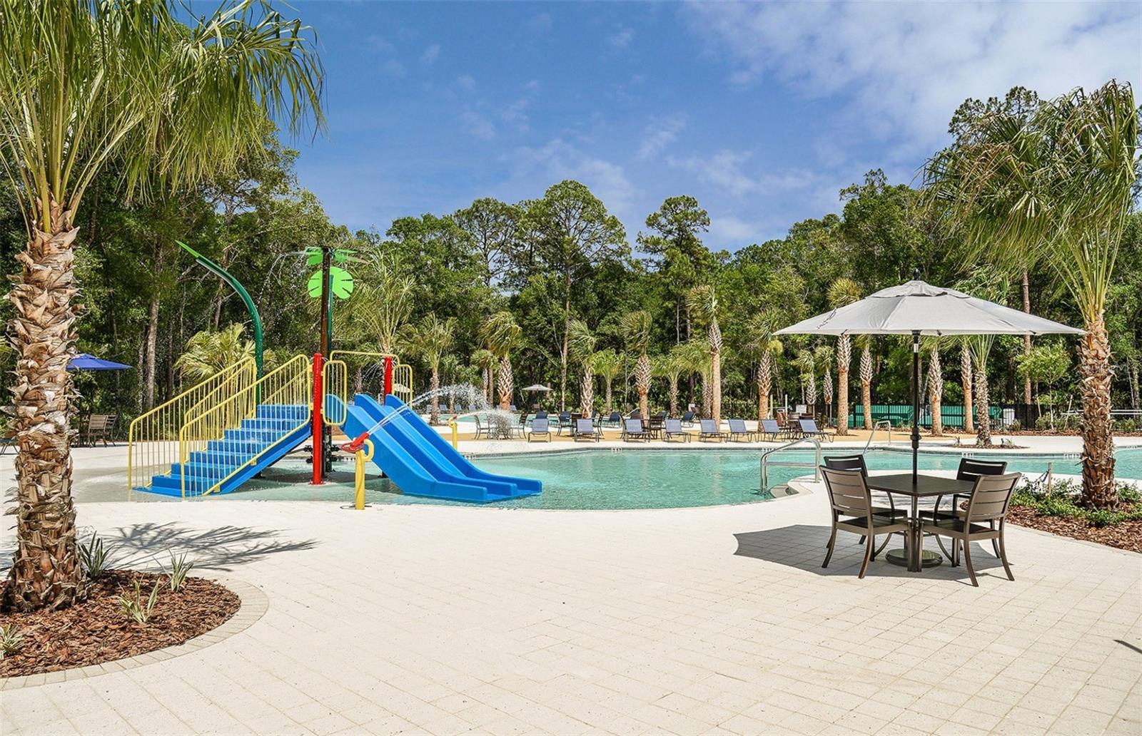 3957 EPIC CV, LAND O LAKES, FL, 34638