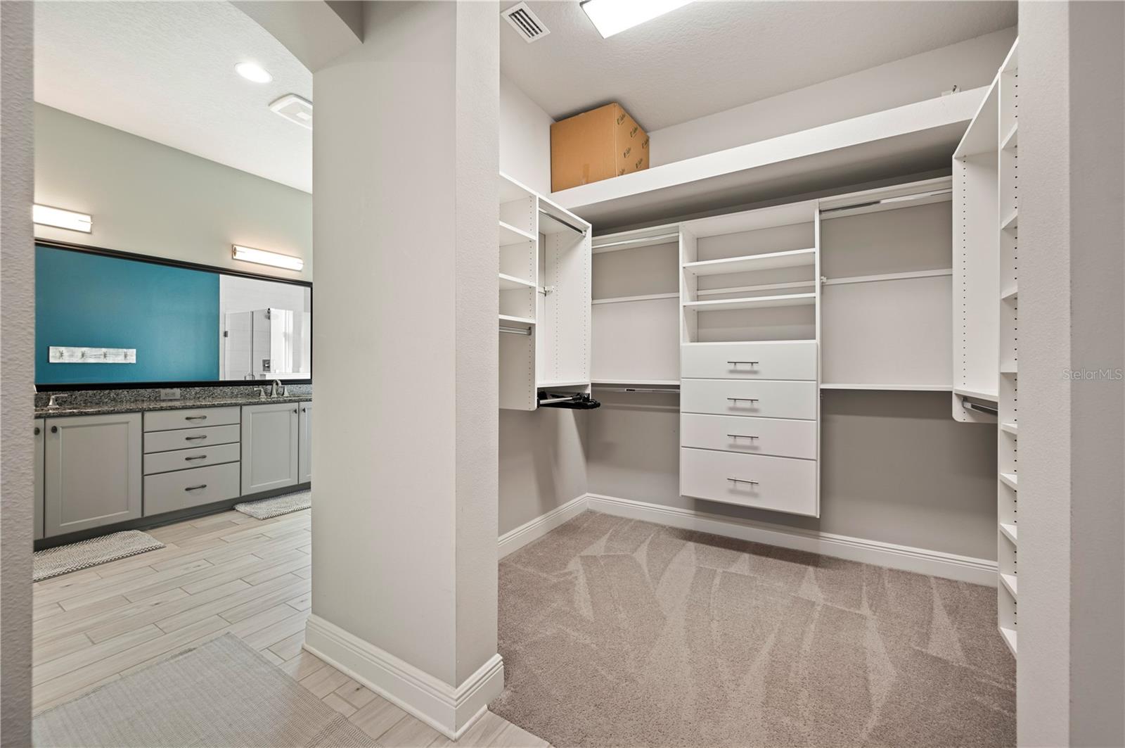 3957 EPIC CV, LAND O LAKES, FL, 34638