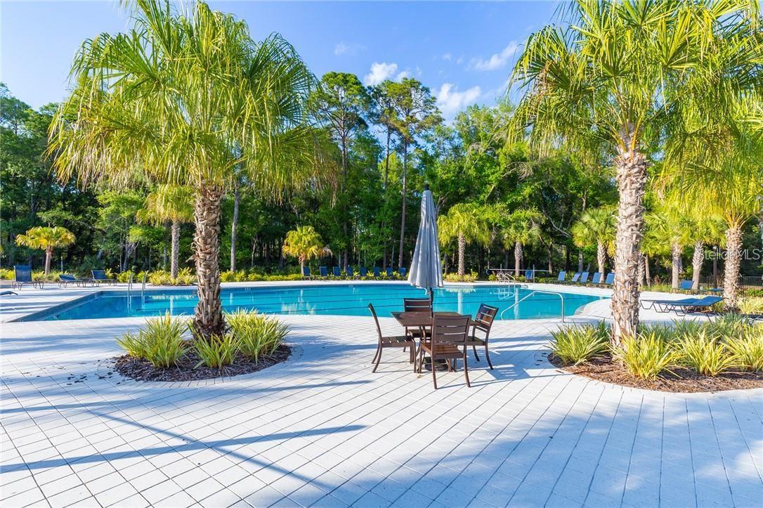 3957 EPIC CV, LAND O LAKES, FL, 34638