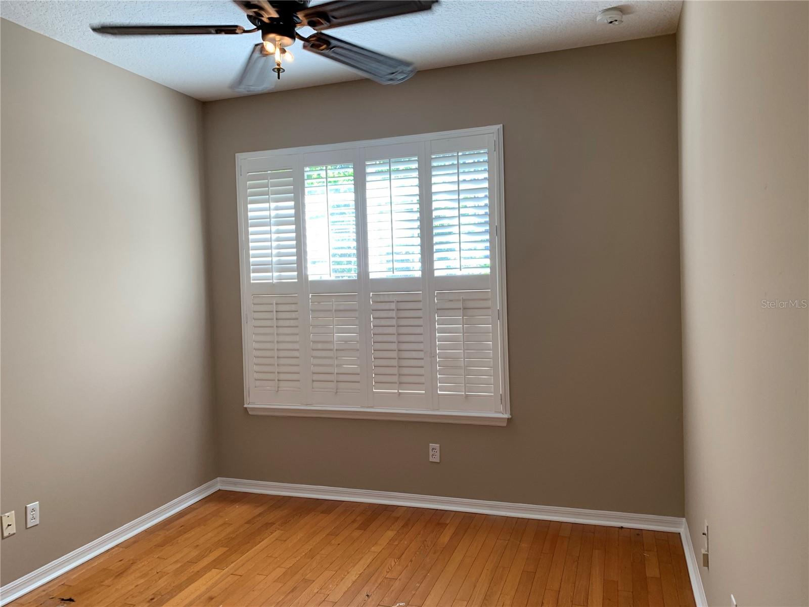 7024 MAPPERTON DR, WINDERMERE, FL, 34786