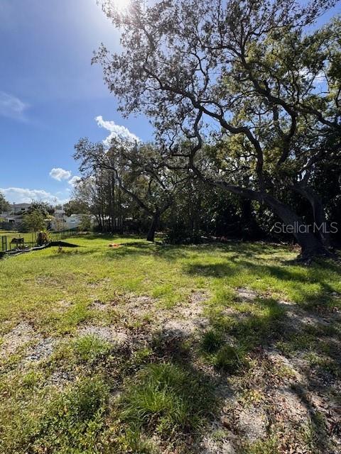 3008 W CHAPIN AVE, TAMPA, FL, 33611