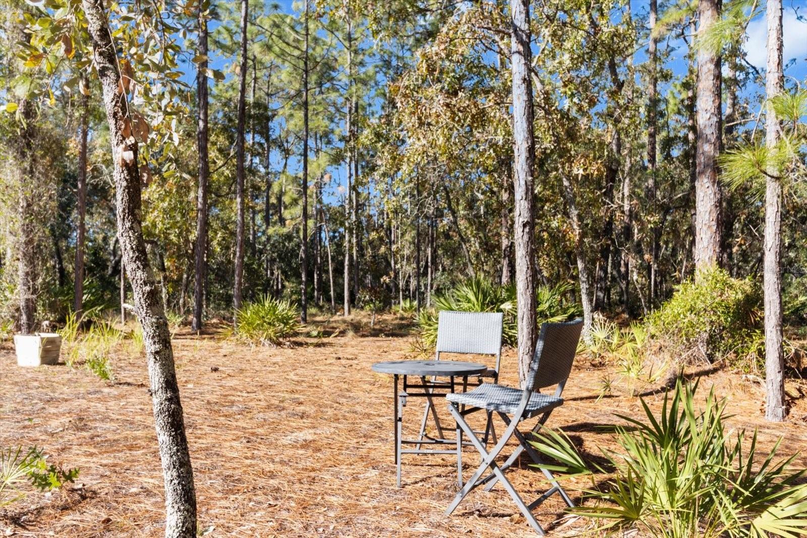 12 COLUBRINA CT, HOMOSASSA, FL, 34446
