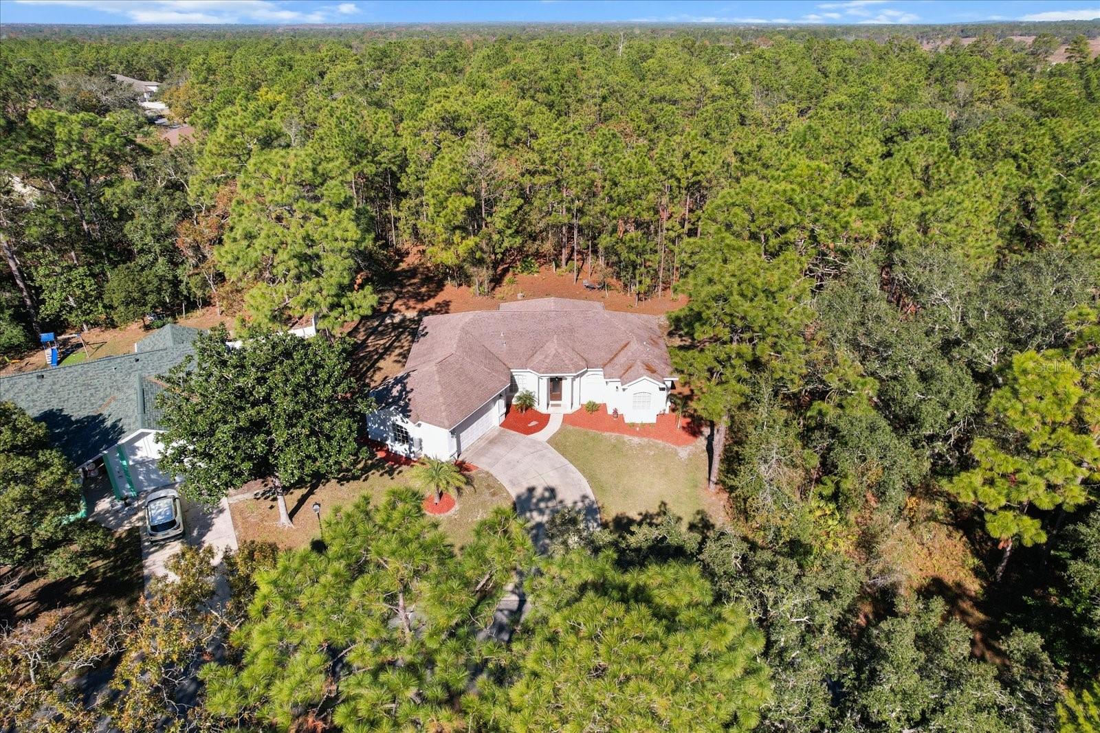 12 COLUBRINA CT, HOMOSASSA, FL, 34446