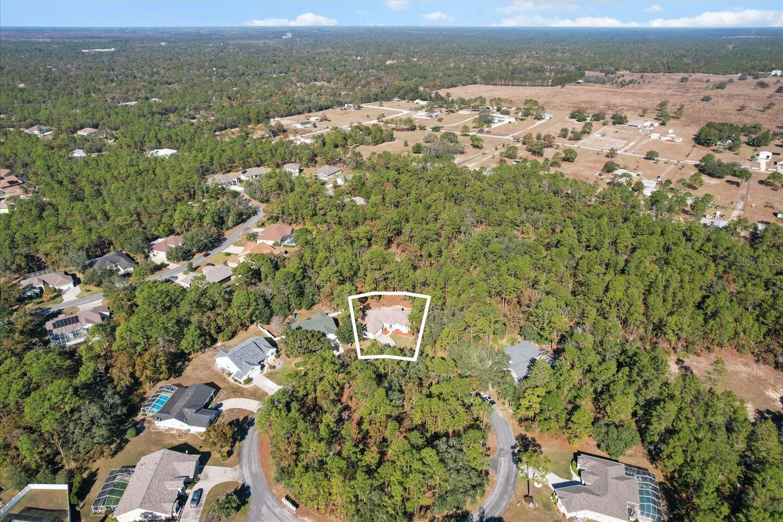 12 COLUBRINA CT, HOMOSASSA, FL, 34446