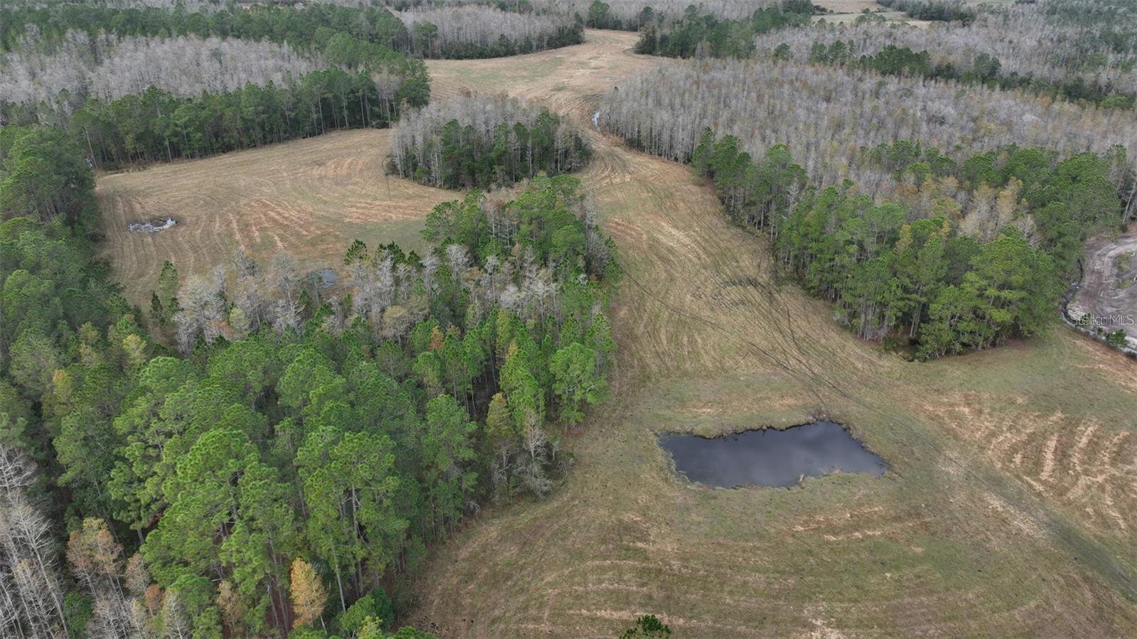 BERRY GROVES RD DR, CLERMONT, FL, 34714