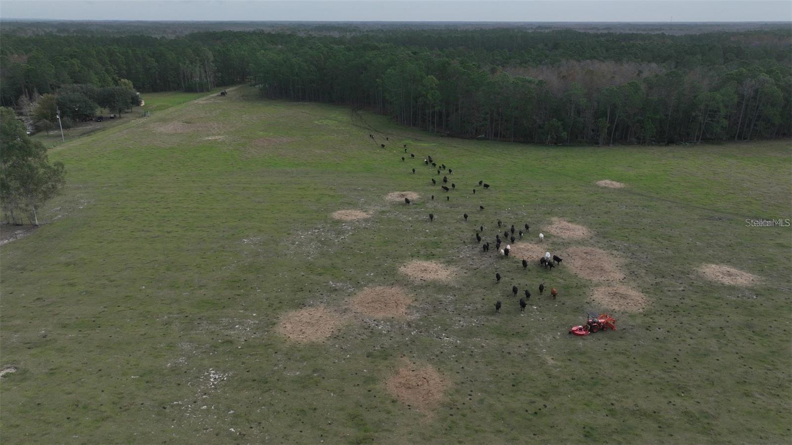 BERRY GROVES RD DR, CLERMONT, FL, 34714