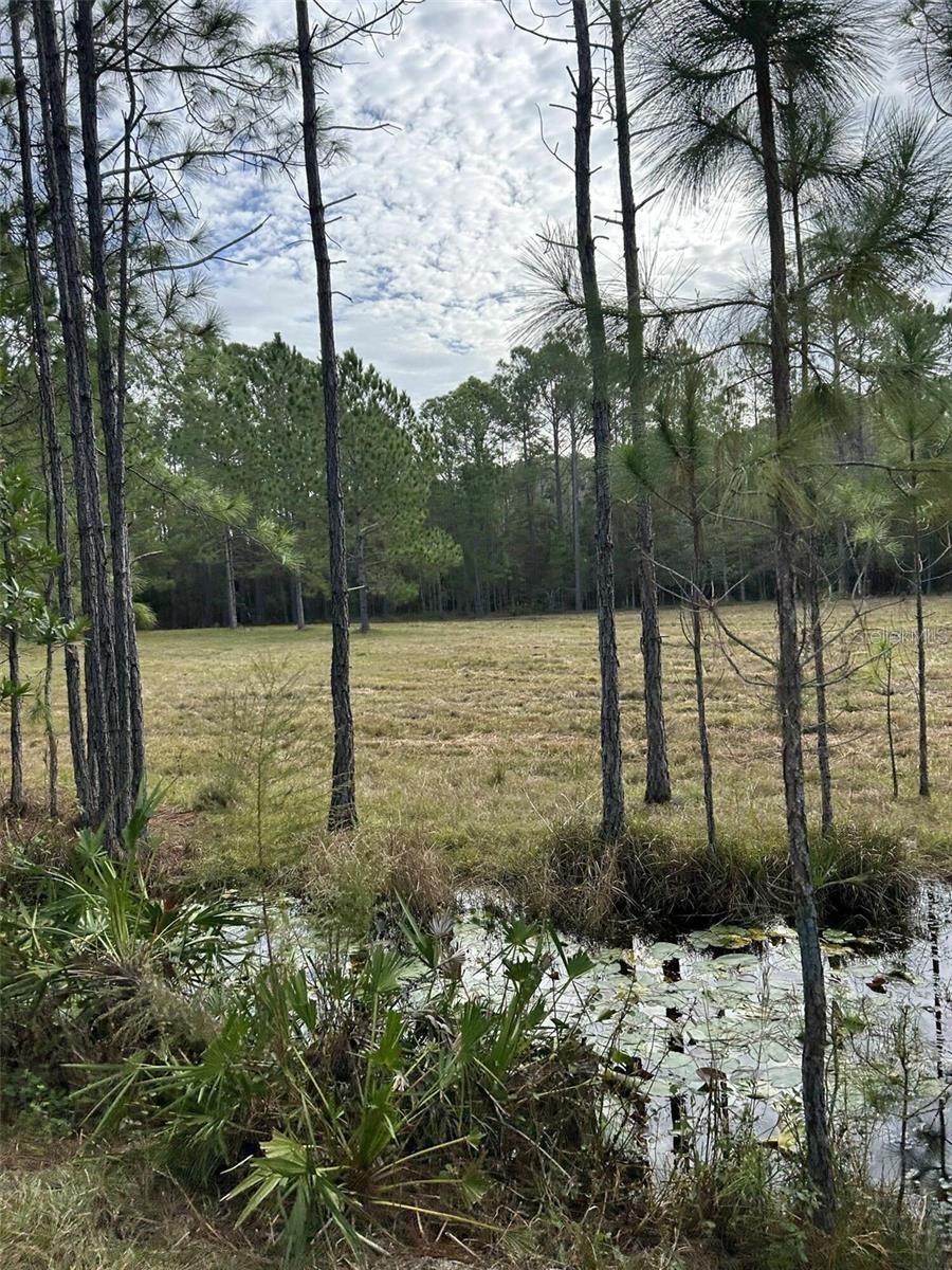 BERRY GROVES RD DR, CLERMONT, FL, 34714
