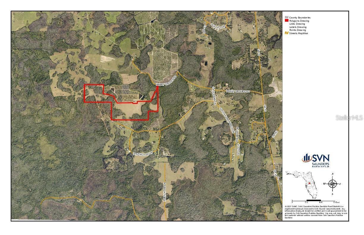 BERRY GROVES RD DR, CLERMONT, FL, 34714