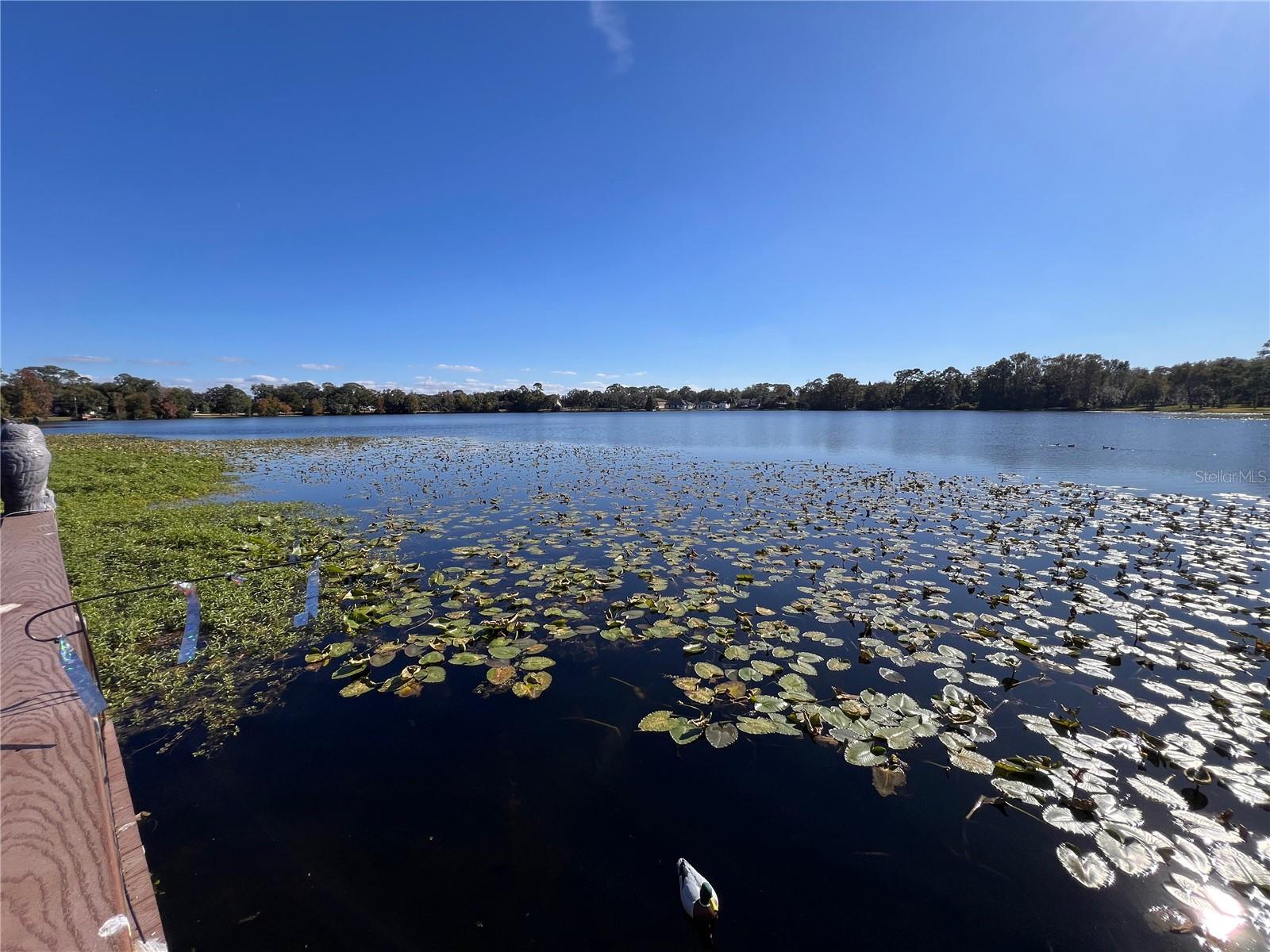 556 LAKE WILDMERE CV, LONGWOOD, FL, 32750