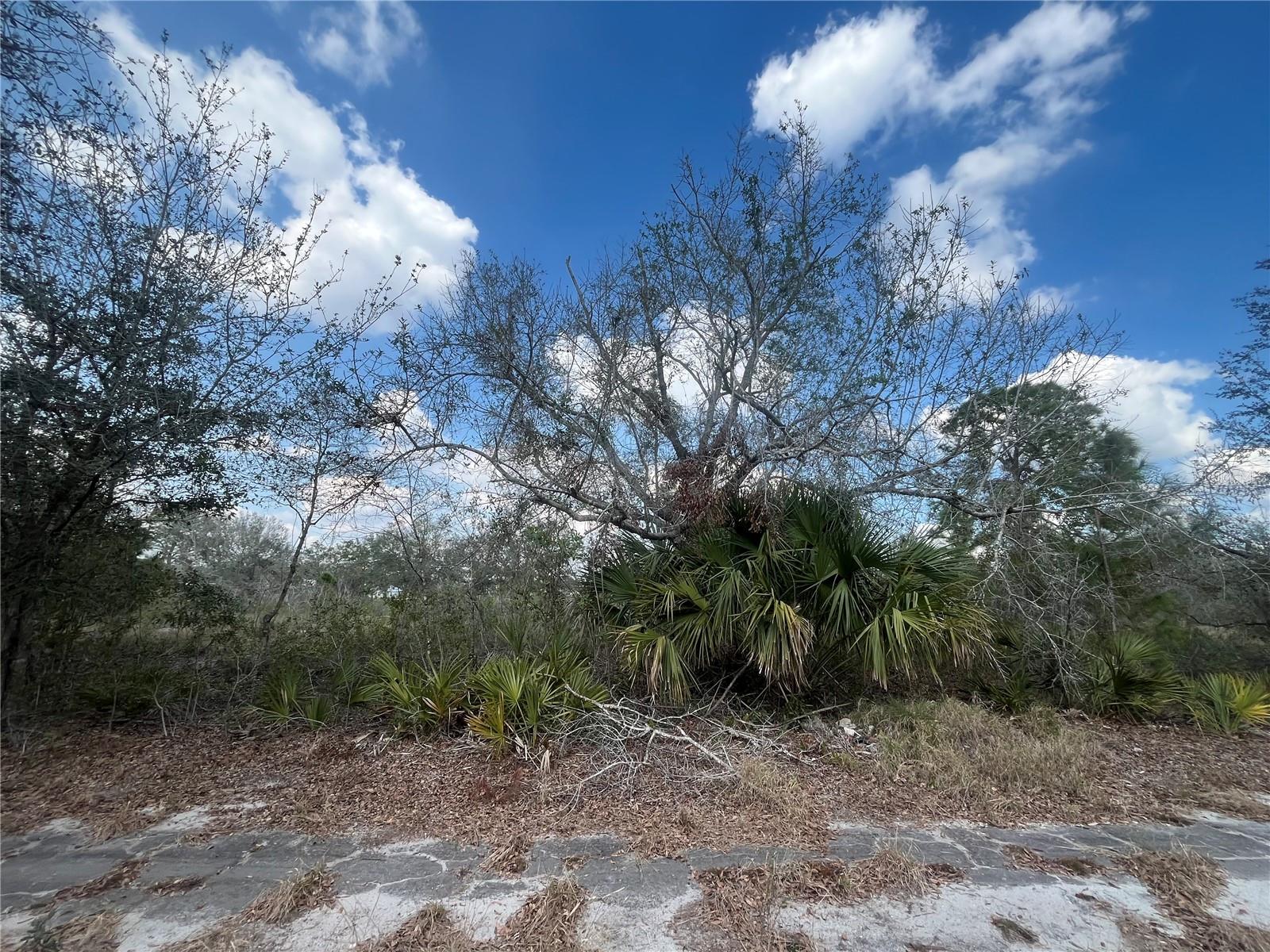 2925 W BANDRA RD, AVON PARK, FL, 33825