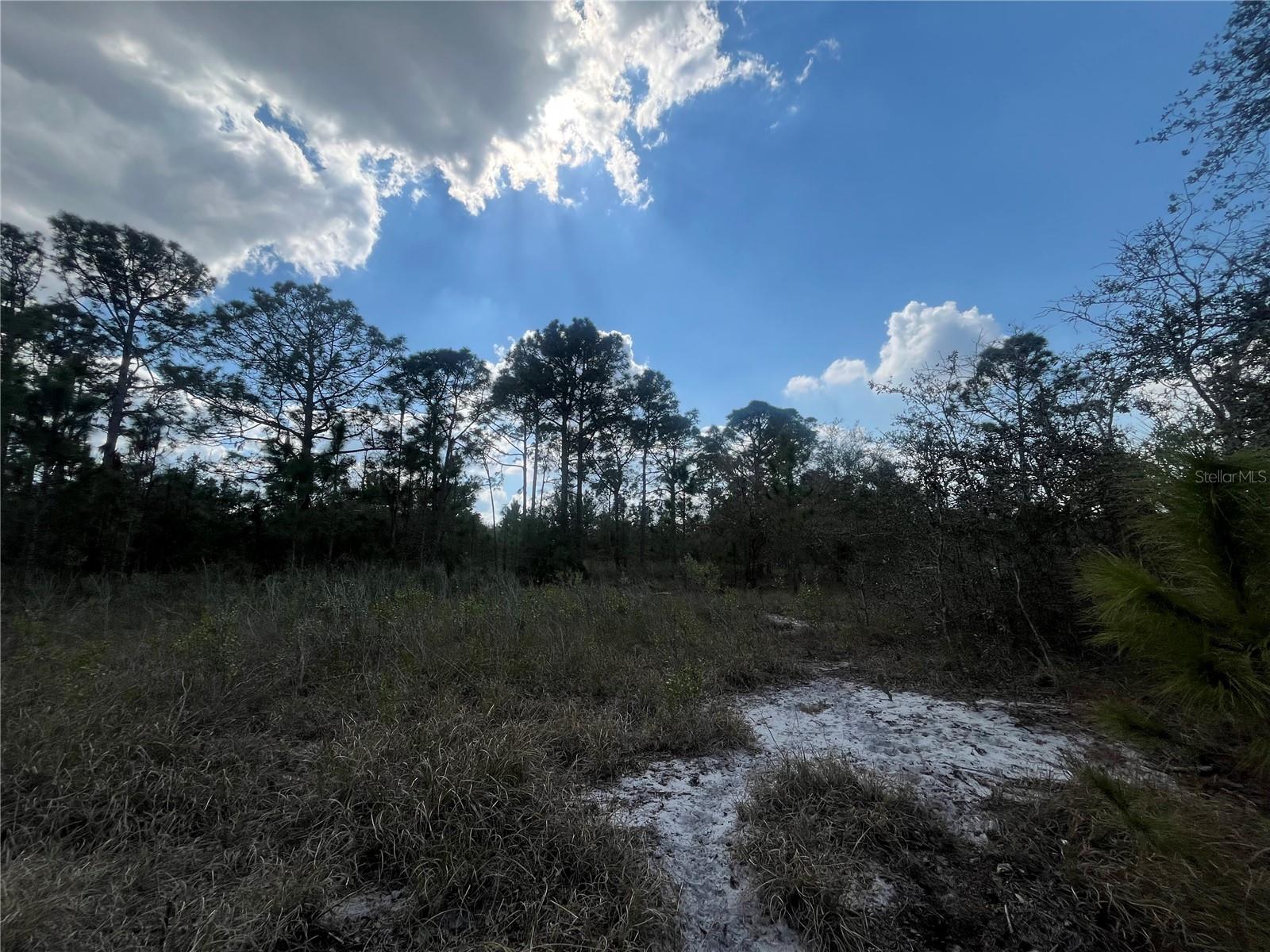 2925 W BANDRA RD, AVON PARK, FL, 33825