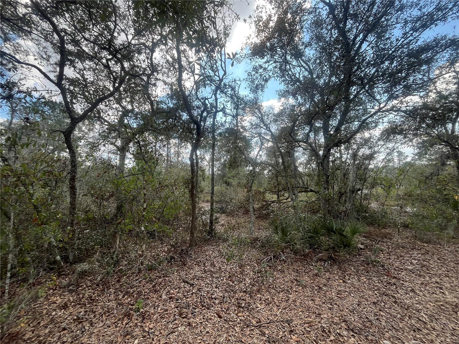 2925 W BANDRA RD, AVON PARK, FL, 33825