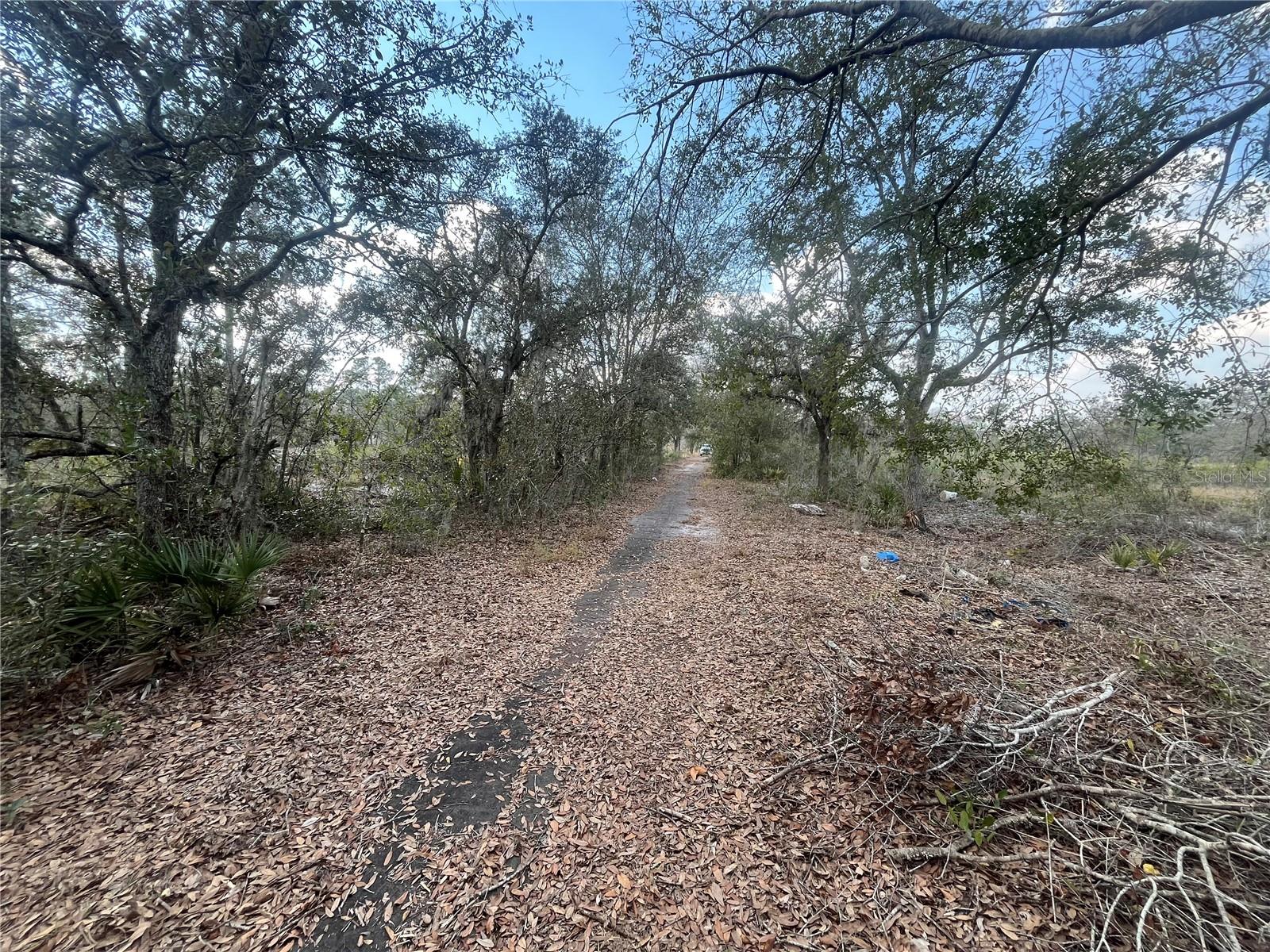 2925 W BANDRA RD, AVON PARK, FL, 33825