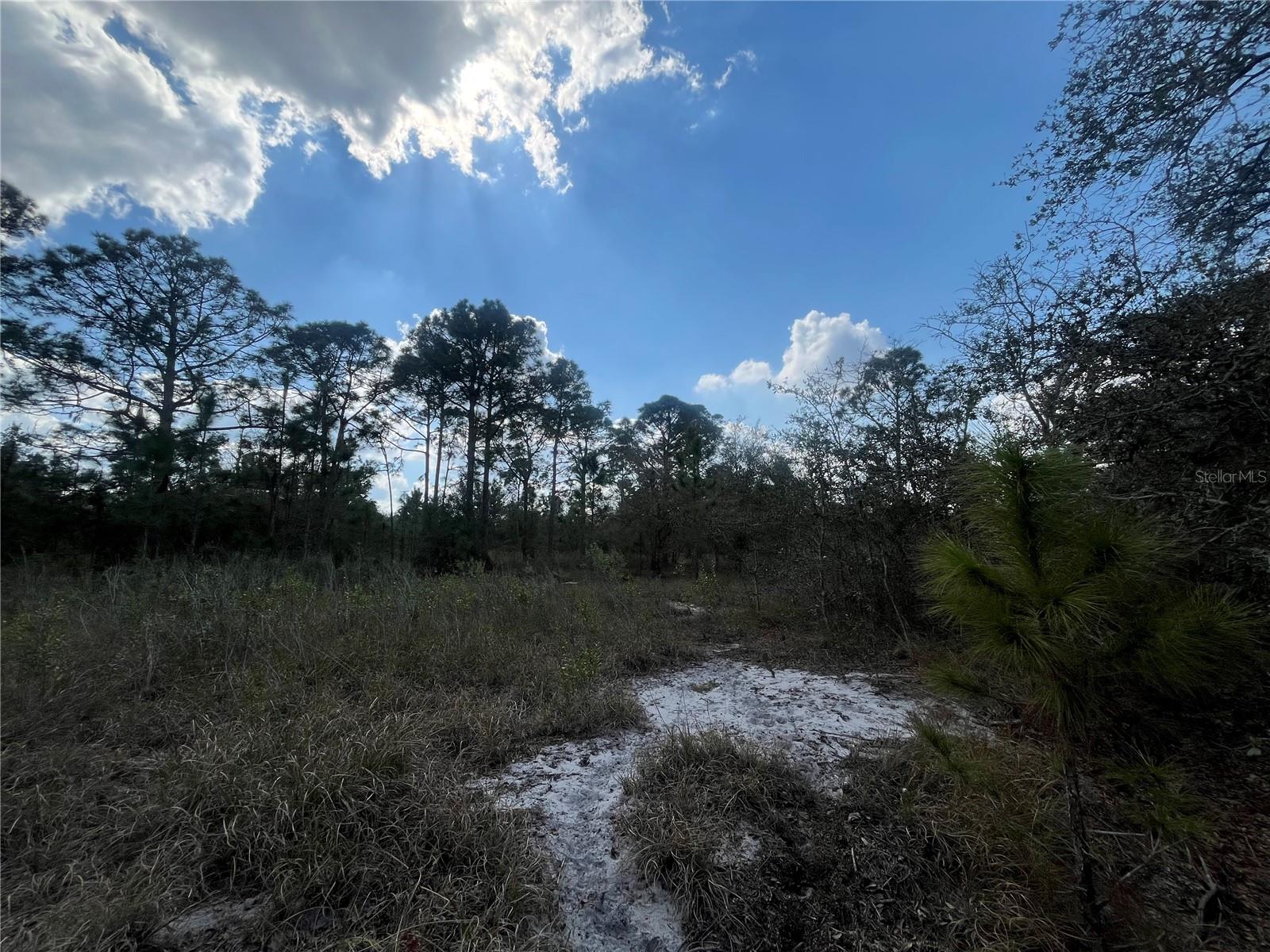 2925 W BANDRA RD, AVON PARK, FL, 33825