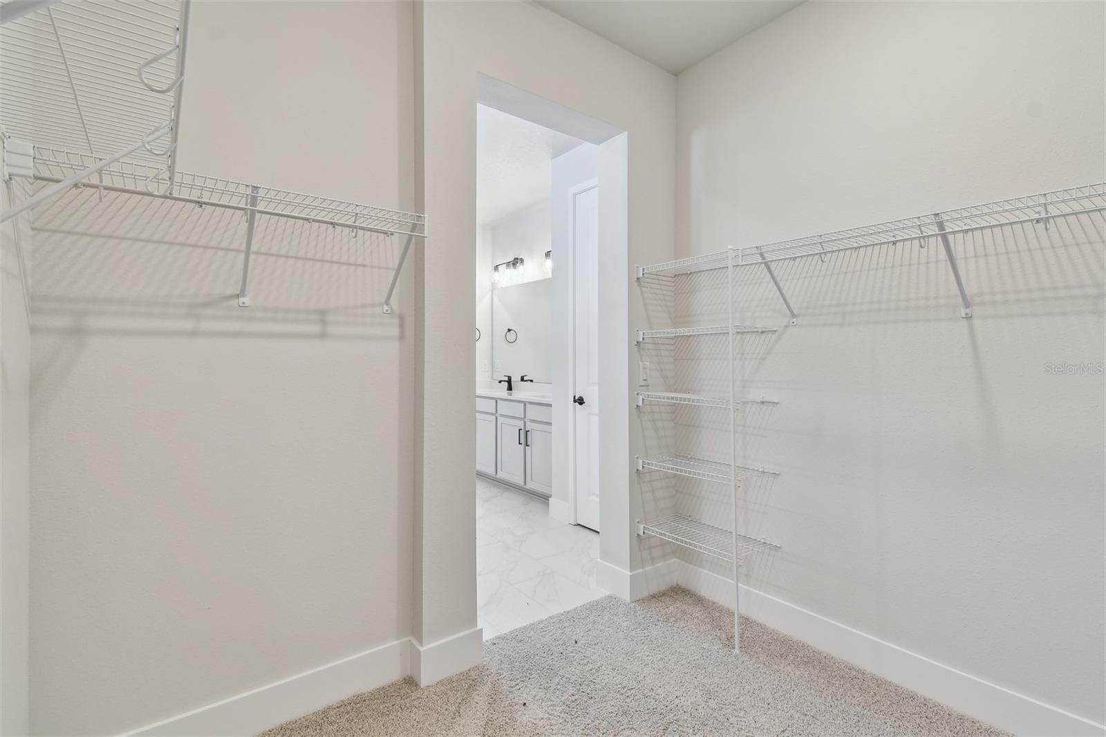 31016 PENDLETON LANDING CIR, WESLEY CHAPEL, FL, 33545