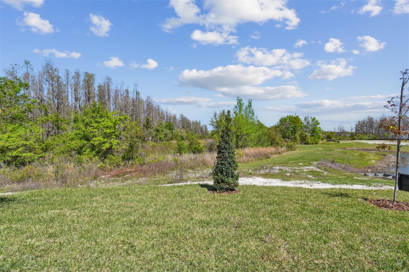 31016 PENDLETON LANDING CIR, WESLEY CHAPEL, FL, 33545