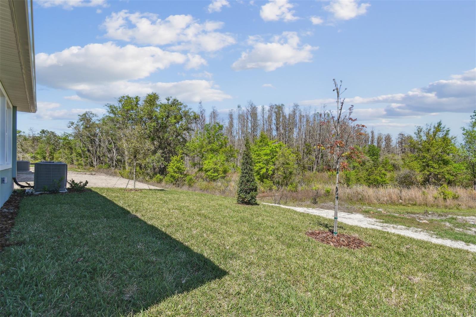 31016 PENDLETON LANDING CIR, WESLEY CHAPEL, FL, 33545