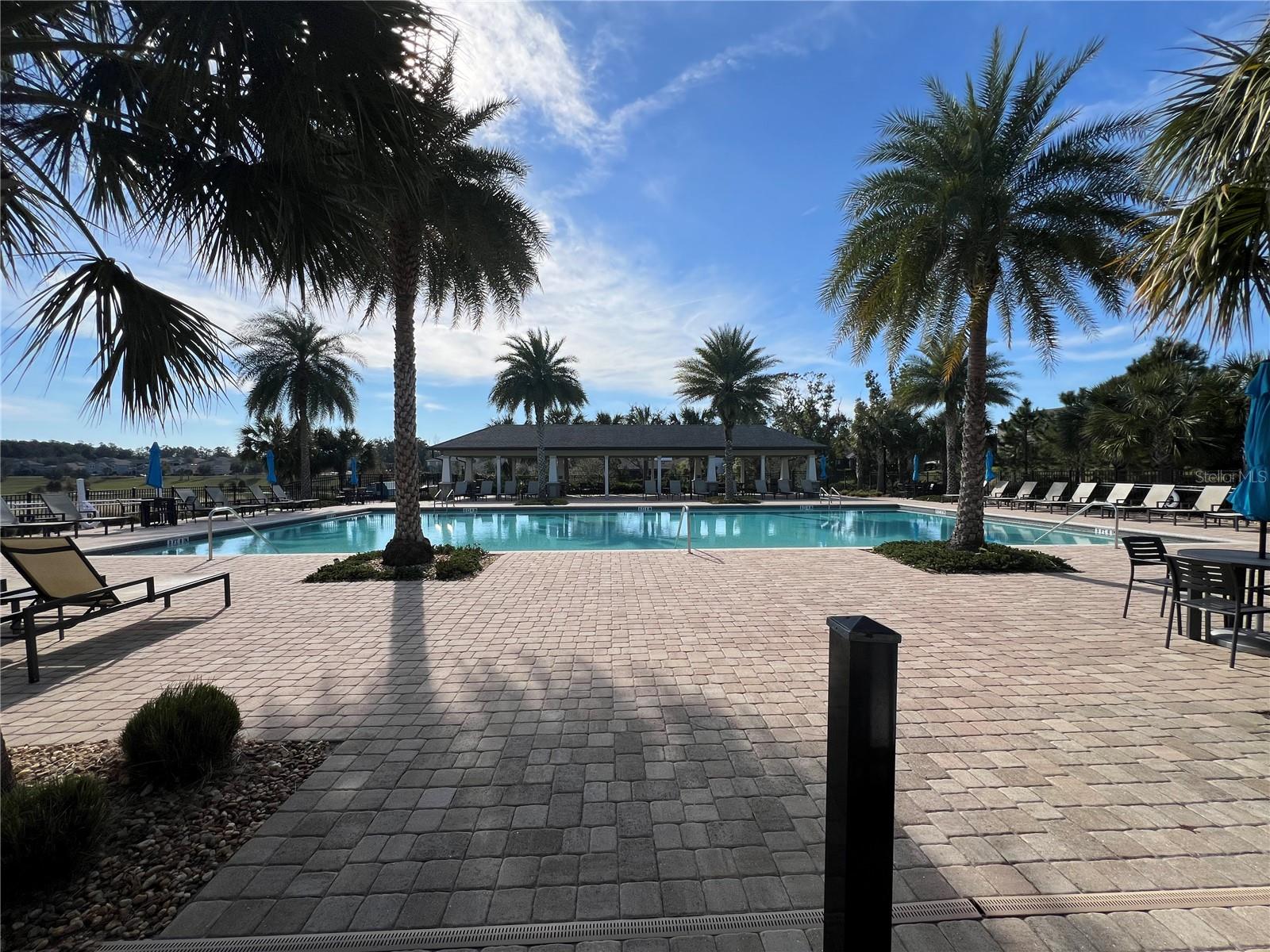 2909 BLACK BIRCH DR, OCOEE, FL, 34761