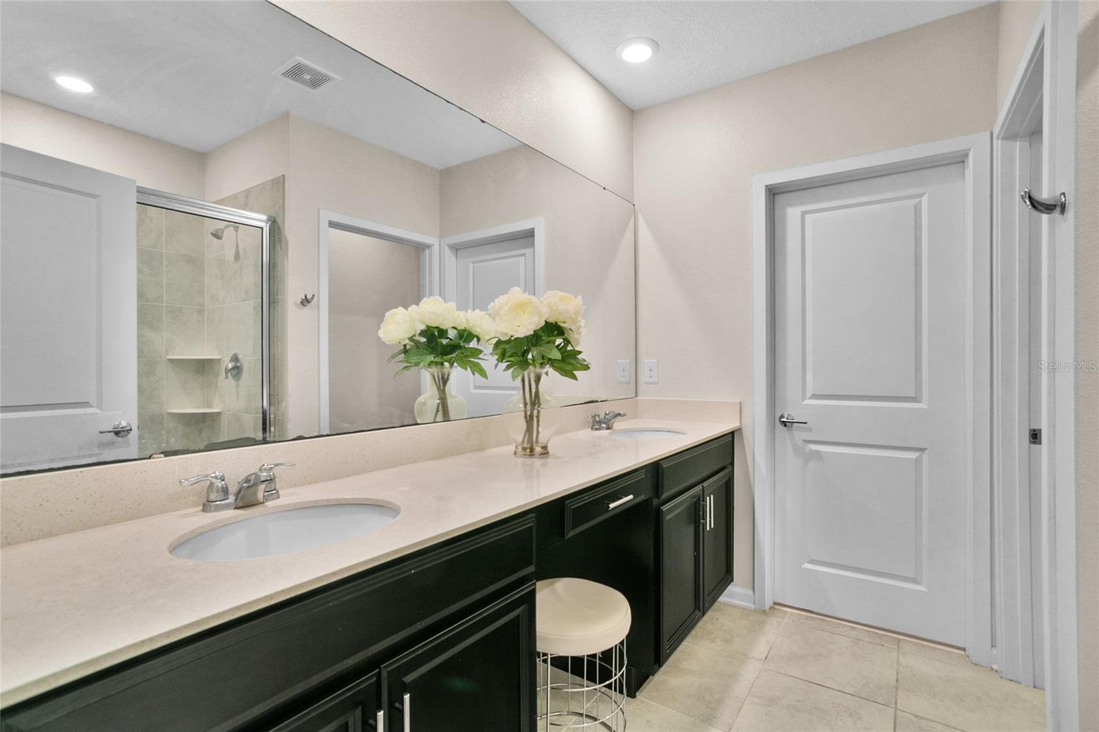 2909 BLACK BIRCH DR, OCOEE, FL, 34761