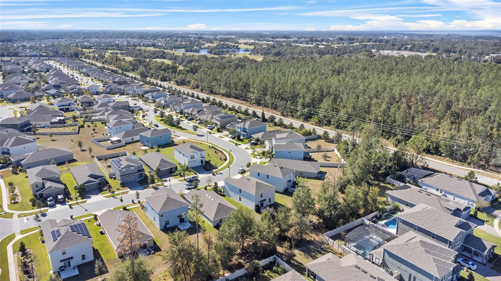 2909 BLACK BIRCH DR, OCOEE, FL, 34761