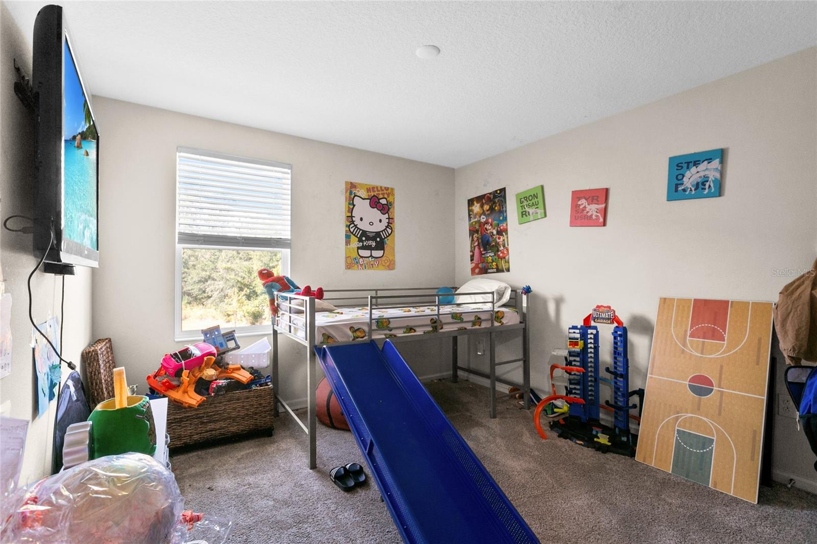 2909 BLACK BIRCH DR, OCOEE, FL, 34761