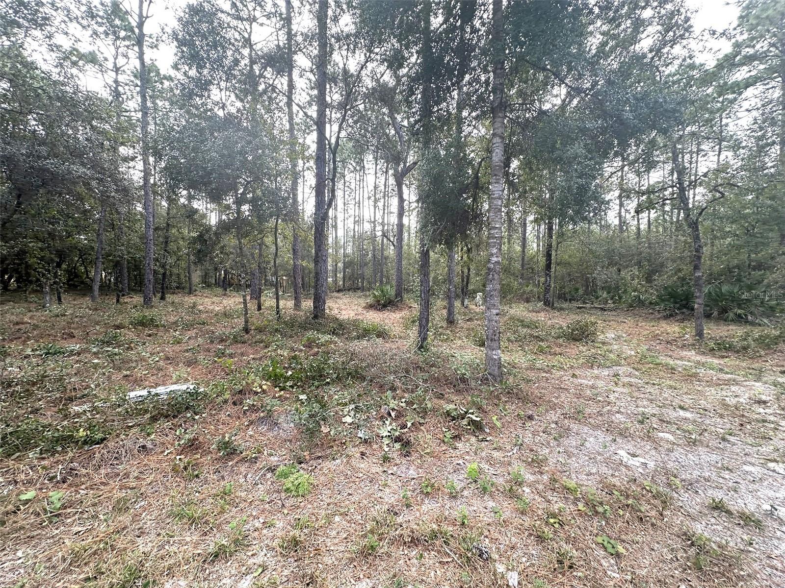 7020 SW 156 PL, DUNNELLON, FL, 34432