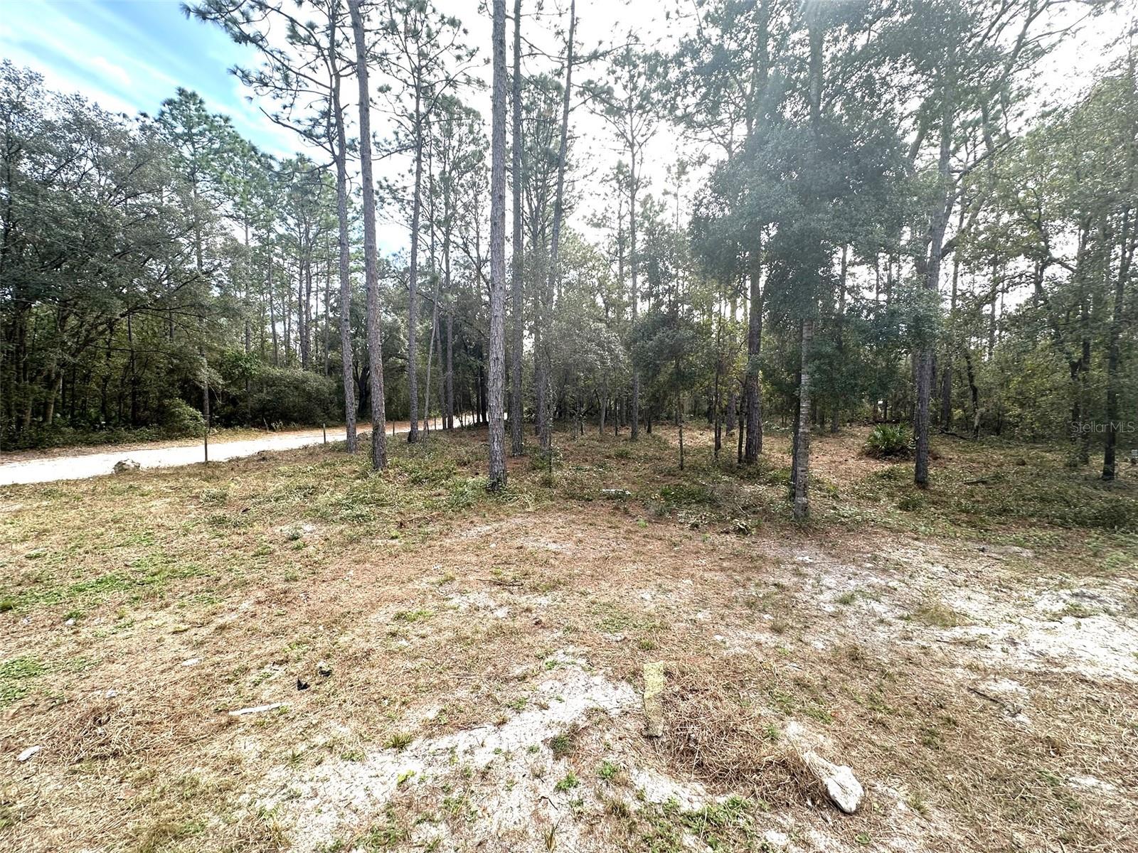 7020 SW 156 PL, DUNNELLON, FL, 34432