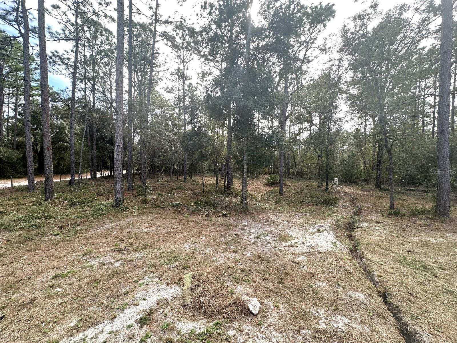 7020 SW 156 PL, DUNNELLON, FL, 34432