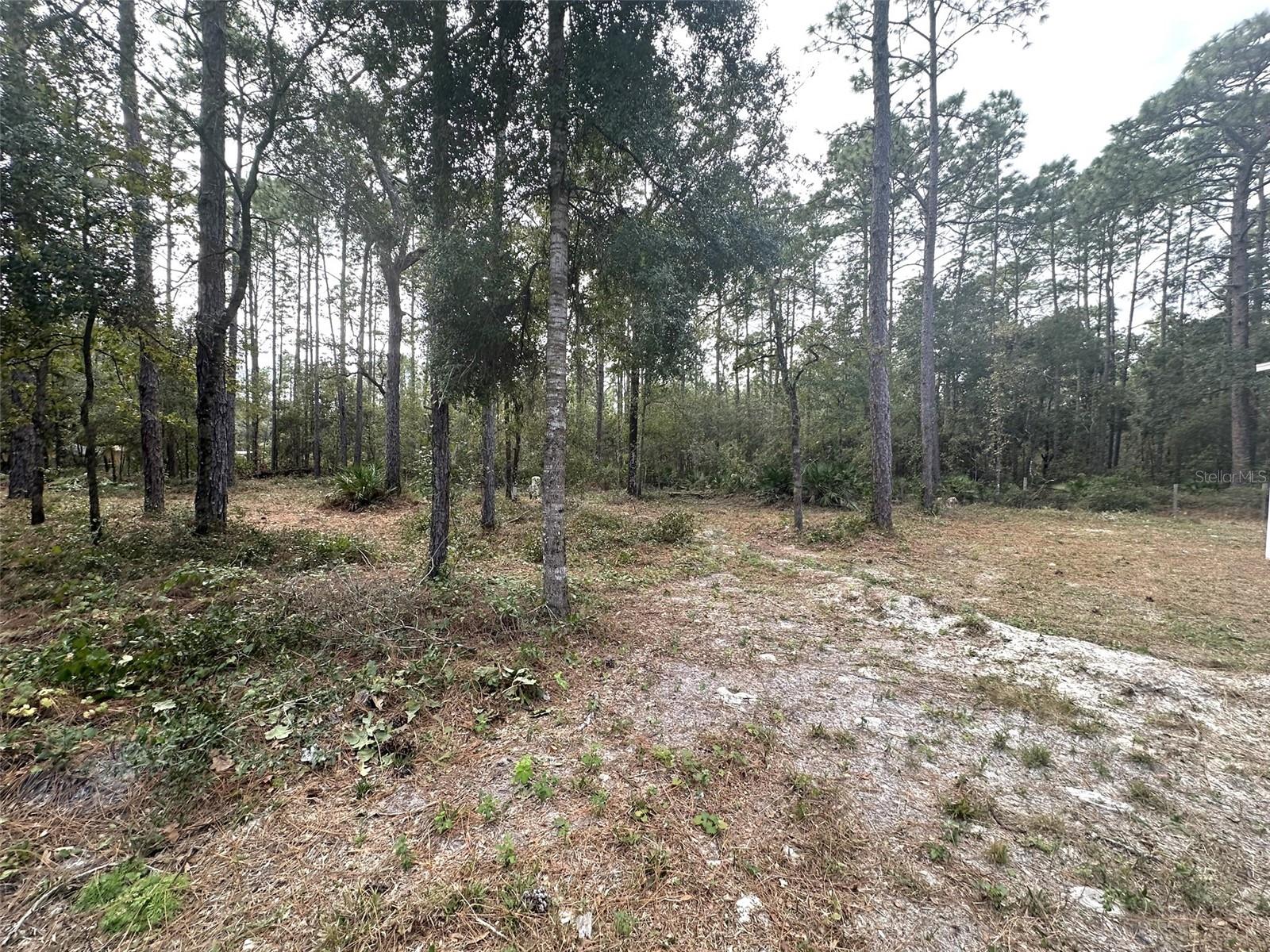 7020 SW 156 PL, DUNNELLON, FL, 34432