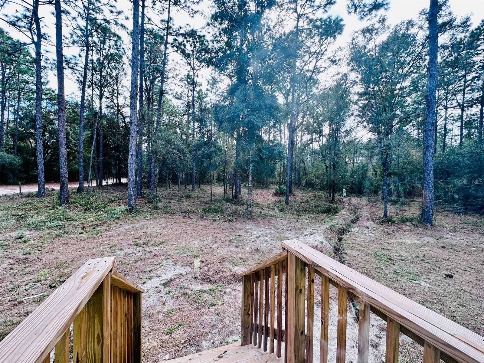 7020 SW 156 PL, DUNNELLON, FL, 34432