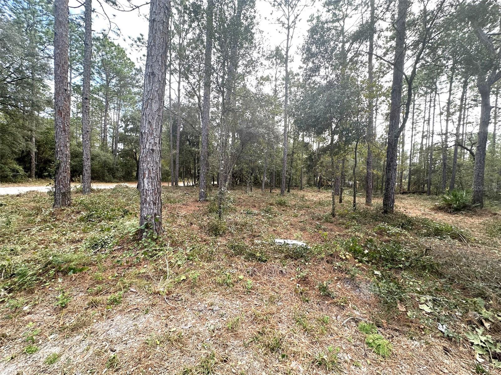 7020 SW 156 PL, DUNNELLON, FL, 34432