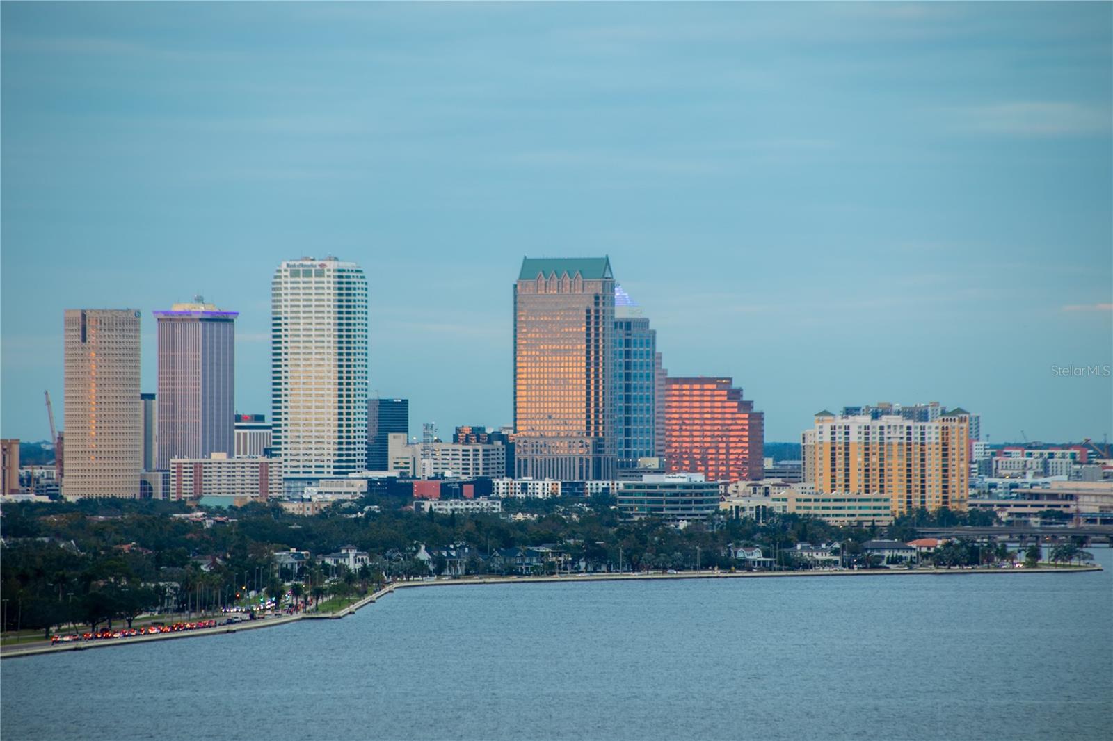 3401 BAYSHORE BLVD #1904, TAMPA, FL, 33629