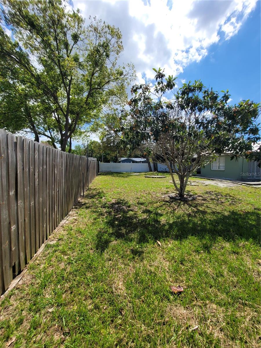 1116 CARMONA AVE, SPRING HILL, FL, 34608