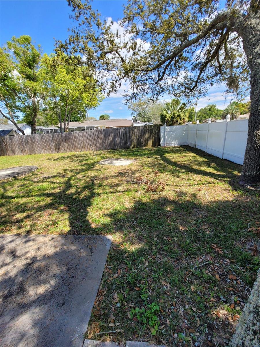 1116 CARMONA AVE, SPRING HILL, FL, 34608