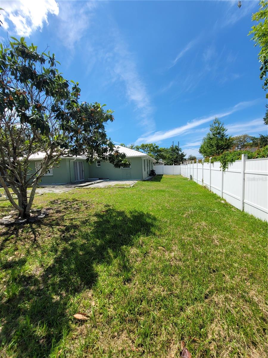 1116 CARMONA AVE, SPRING HILL, FL, 34608