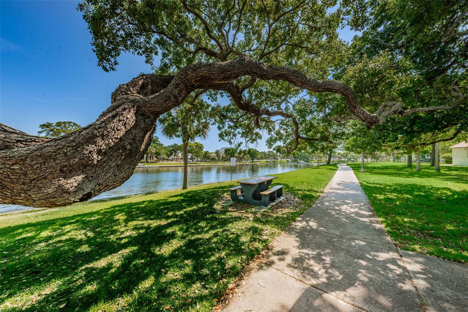 1408 RIVERSIDE DR, TARPON SPRINGS, FL, 34689