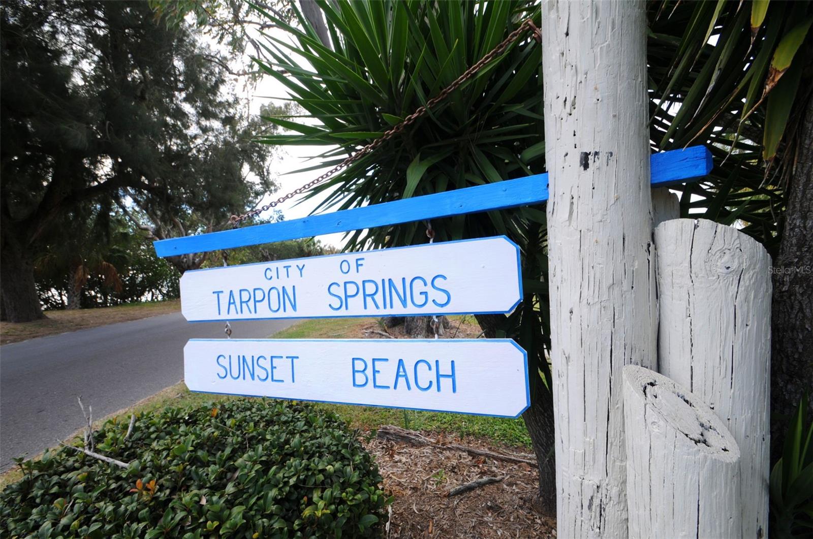 1408 RIVERSIDE DR, TARPON SPRINGS, FL, 34689